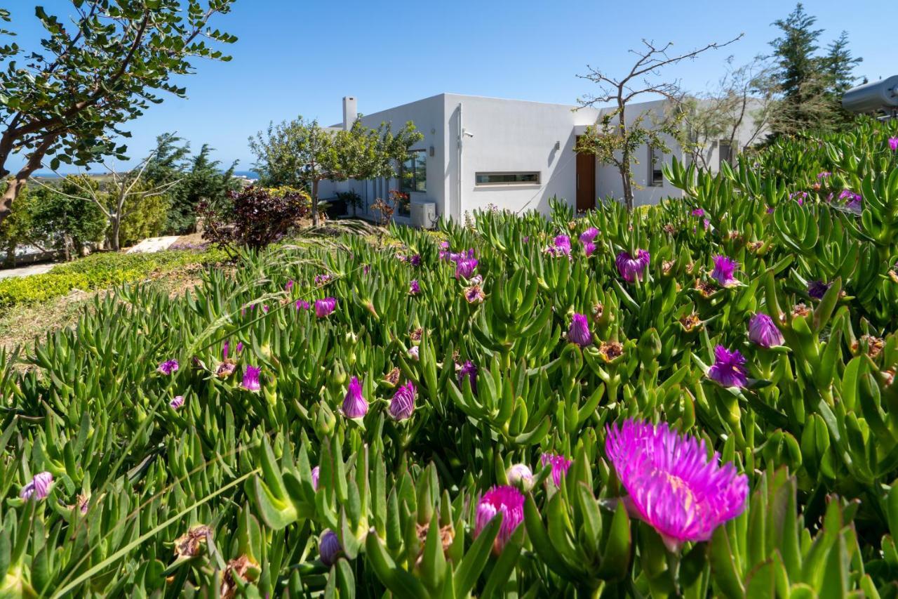 Sea View Villas Agia Pelagia  Bagian luar foto